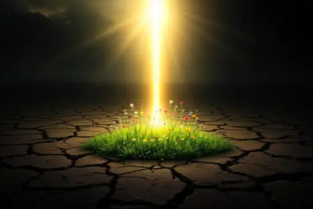 A symbolic image for John 14 Explained where a beam of divine light causes vibrant life to grow in a dark landscape