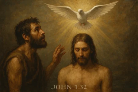 John 1:32 Commentary: The Spirit Descending as a Dove John 1-32 The Spirit Descending as a Dove