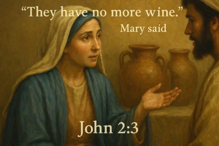 John 2:3 Meaning: “They have no more wine,” Mary says John 2-3 They have no more wine Mary says